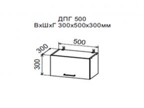 Шкаф верхний ДПГ500 горизонтальный в Оханске - ohansk.магазин96.com | фото