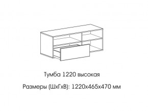 Тумба 1220 (высокая) в Оханске - ohansk.магазин96.com | фото